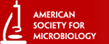 Αμερικανική Μικροβιολογική Εταιρεία